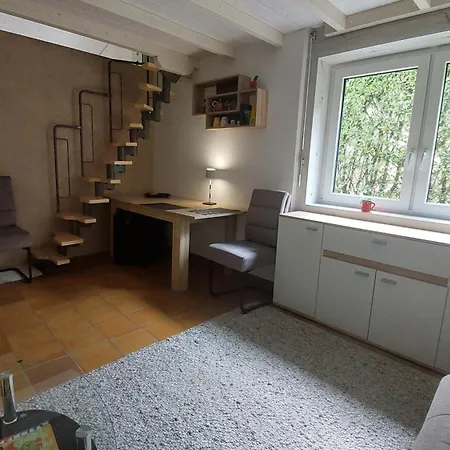 Casa Celeste, Stanza In Condiviso * Minusio