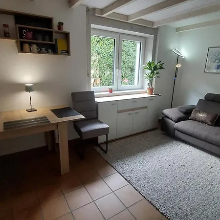 Casa Celeste Homestay Minusio