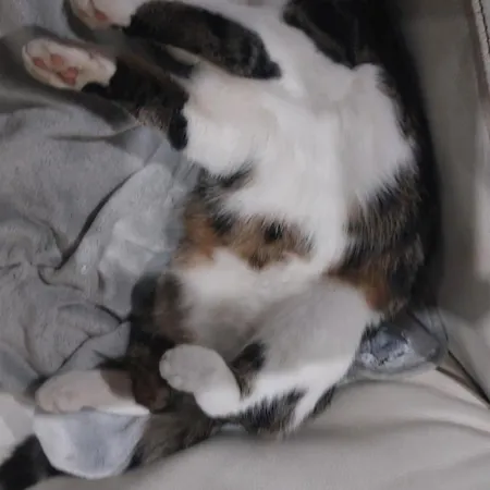 Casa Celeste, Stanza In Condiviso Alloggio in famiglia *