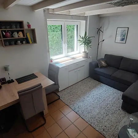 Casa Celeste, Stanza In Condiviso Minusio