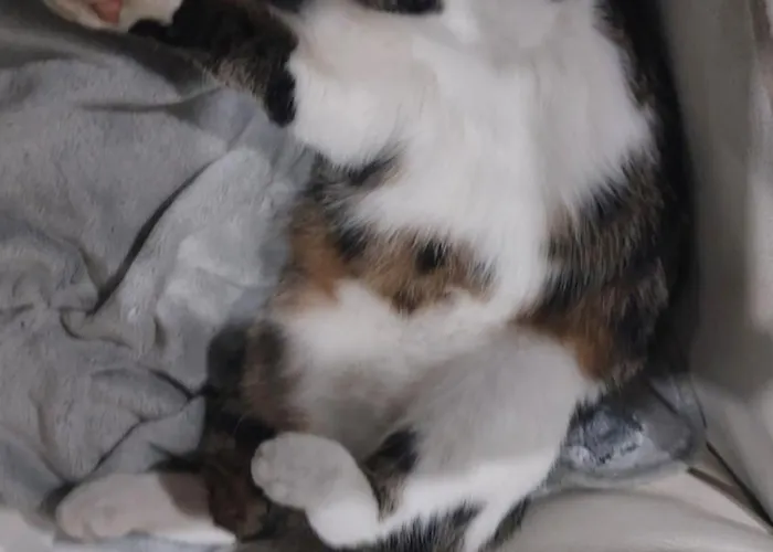 Casa Celeste, Stanza In Condiviso Privat bolig *